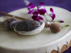 Shamanic Journey