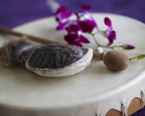 Shamanic Journey