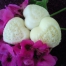 Valentine’s Special - 1 hour Traditional “old style” Hawaiian Lomi Lomi Massage with Love Treats Bag